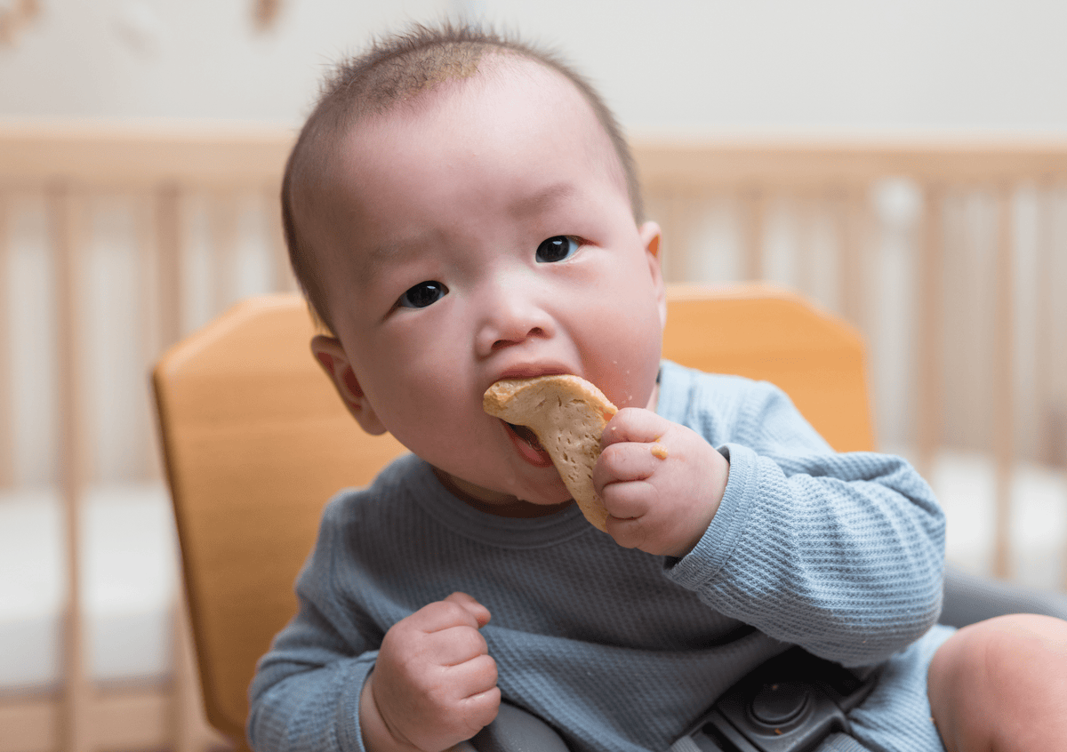 Confident First Foods: A Guide to Starting Solids | OT&P Healthcare Store
